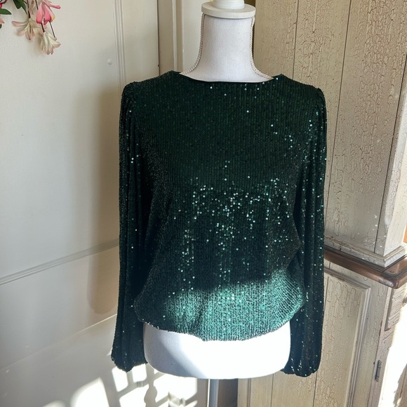 Anthropologie Dark Green Sequin Blouse - Picture 5 of 13